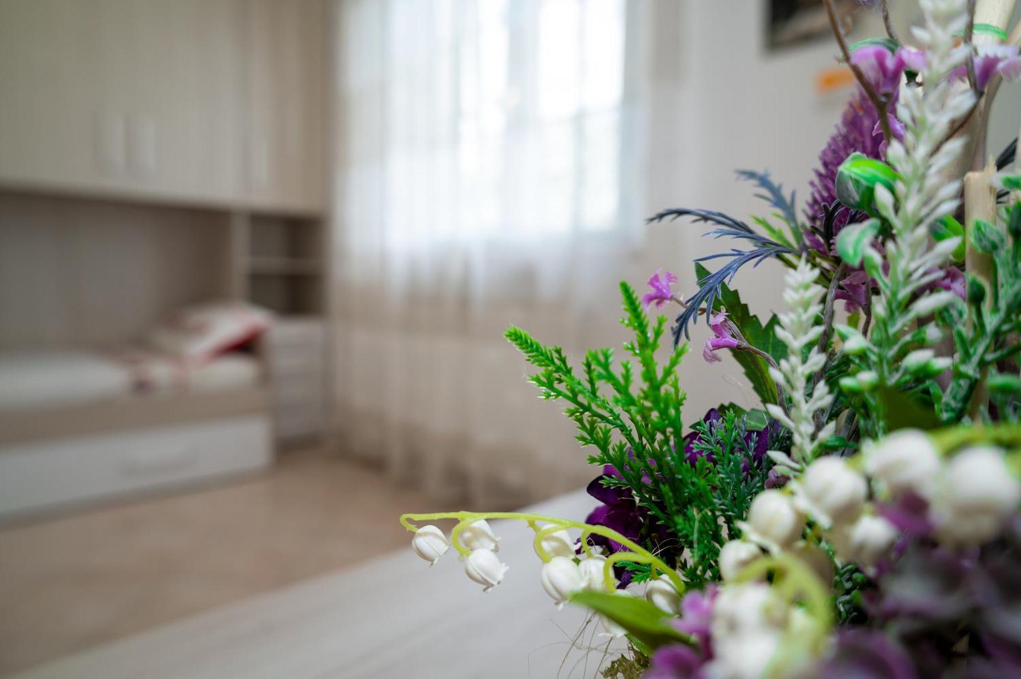 Casa Vacanze Dalla Ci Capezzano Pianore エクステリア 写真