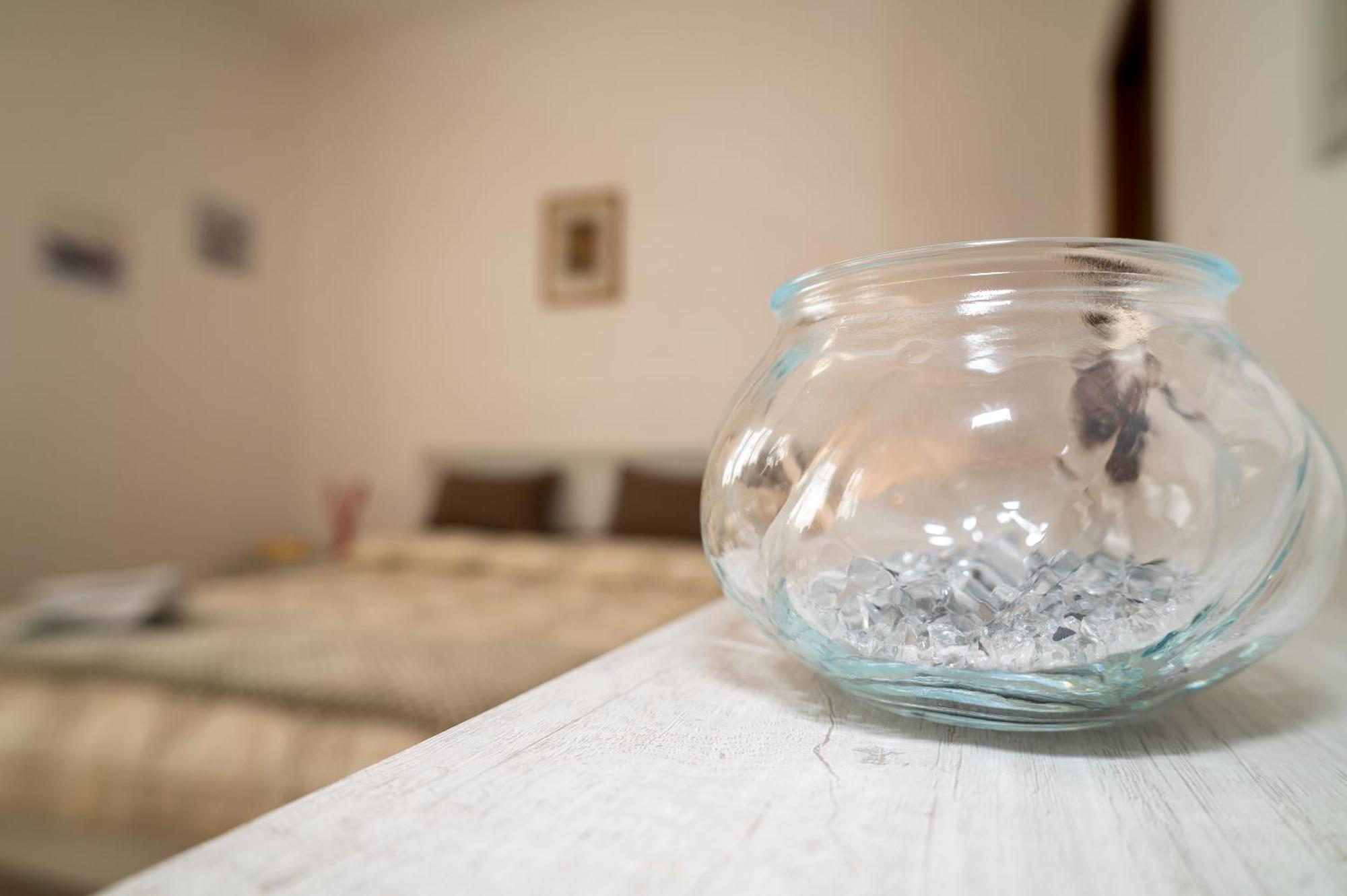 Casa Vacanze Dalla Ci Capezzano Pianore エクステリア 写真